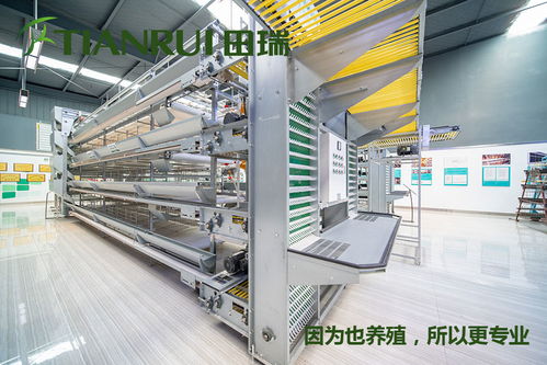 重庆全自动蛋鸡养殖设备特价批发田瑞牧业——跨界融合中的机遇与挑战